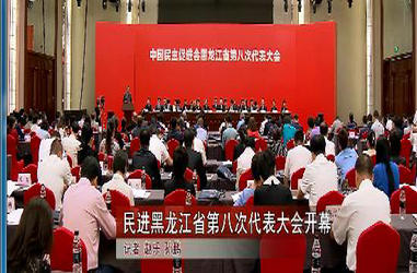 民進黑龍江省第八次代表大會開幕式